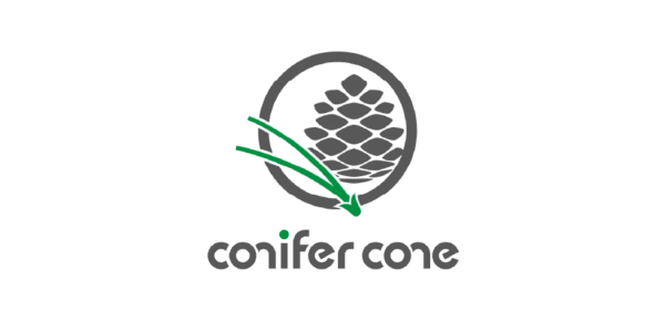 conifer